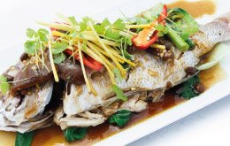 STEAMED BARRAMUNDI IN GINGER AND SESAME SAUCE